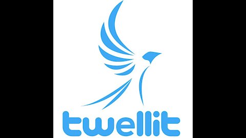 How To Get Started On Twellit