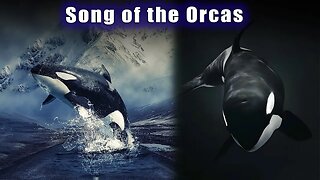 Original 13 Mothers ~ Creator's Golden Harmonics of Love ~ SIRIUS ENERGY GATEWAY ~ Song of the Orcas