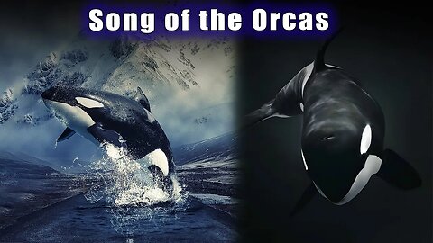 Original 13 Mothers ~ Creator's Golden Harmonics of Love ~ SIRIUS ENERGY GATEWAY ~ Song of the Orcas