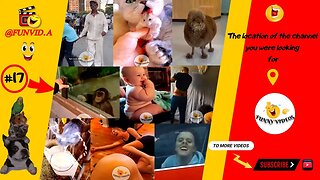 Funvid.A's Amazing Compilation : Funny Moments Fails, Pranks , Memes and Amazing Stunts