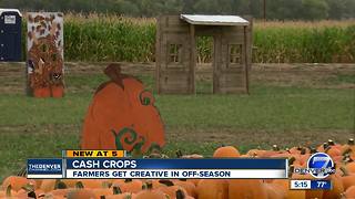 Colorado farmers using land as fall tourist destinations to sustain throughout the year