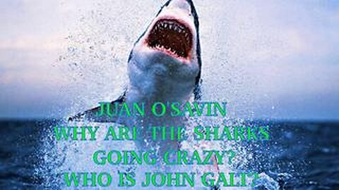 JUAN O'SAVIN WHAT IS HAPPENING TO THE OCEANS? SHARKS GOING CRAZY. TY JGANON, SGANON