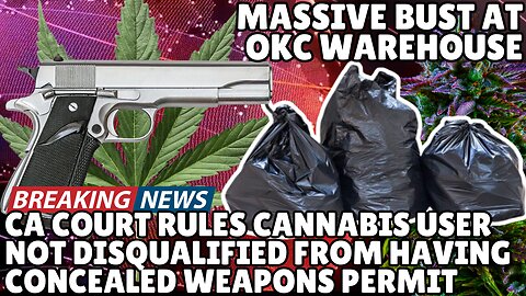 BREAKING NEWS: CA Court Rules In Favor of Cannabis User Obtaining CCW - HIGH AT 9 NEWS EXCLUSIVE