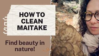 How to Clean Maitake Mushrooms aka Hen of the Woods: Fall mushroom hunt for Edible Fungi