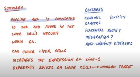 February 27, 2022 pzer vax grows dna in liver