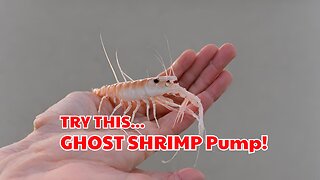 Ghost Shrimp Pump Is Great!