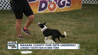 Niagara County Fair gets underway