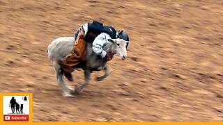 Mutton Bustin' 🐑 2023 Coors Cowboy Club Ranch Rodeo | Thursday
