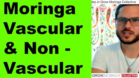 Moringa Biology and Differences between Vascular & Non Vascular Systems in Plants
