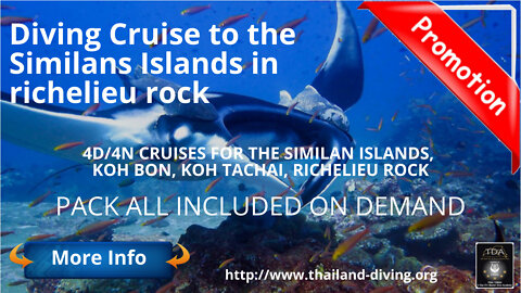 🐋Diving #Cruise to the Similans Islands in Richelieu Rock