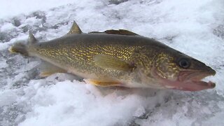 MidWest Outdoors TV Show #1551 - Lake Mille Lacs Ice Trolling.