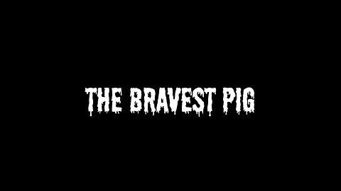 The Bravest Pig