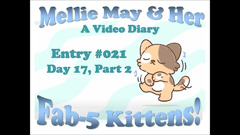 Video Diary Entry 021: Day 17, Part 2 - Fair Warning - Don't Get Attached To The Kitten's Names