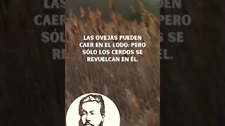 Frase de Charles Spurgeon