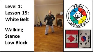 Baehr Taekwondo: 01-15: White Belt: Walking Stance - Low Block