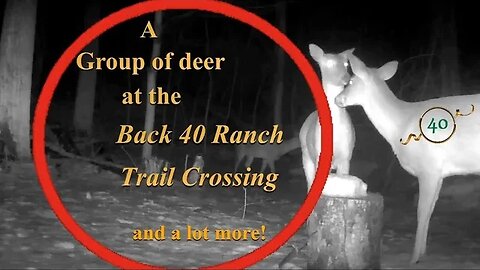 EP- 9, Back 40 Ranch Trail Crossing