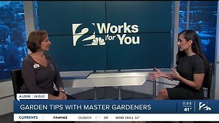 Gardening Tips with Tulsa Master Gardeners with Spring around the Corner