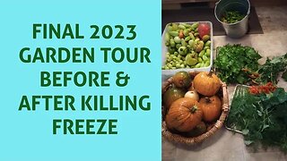 Final 2023 Garden Tour-before & after KILLING FREEZE & our final harvest