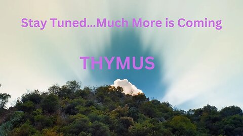 Stay Tuned…Much More is Coming ∞Thymus: The Collective of Ascended Masters, by Daniel Scranton