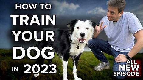 How To Get ANY Dog at Any Age to Listen To You Anywhere on Earth. No Force Required!