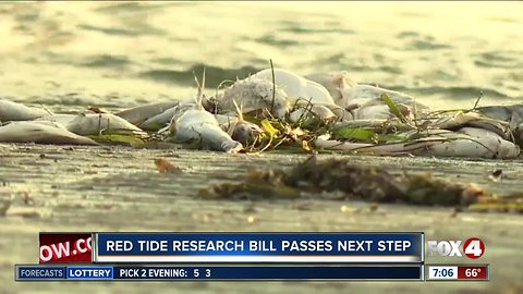 Red Tide research bill passes next step