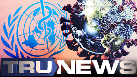 Pharmaceutical New World Order: Nations Drafting Global Pandemic Treaty