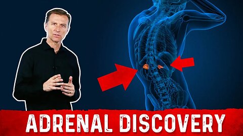 Adrenal Discovery – High Cortisol Levels, Blood Sugar Levels & Adrenal Stress – Dr. Berg