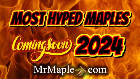Top 20 Most Anticipated Japanese Maples Coming In 2024 | MrMaple Show Podcast