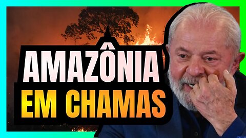 LULA bate RECORDES de QUEIMADAS na AMAZÔNIA estado de EMERGÊNCIA AMBIENTAL