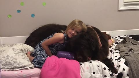 Little girl and her doggy have the best nighttime routine