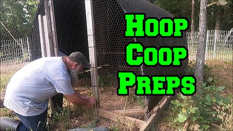 Hoop Coop Preps | Flock Management Plan | homesteading Arkansas chicken breeding business