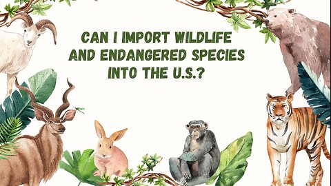 Can I Import Wildlife and Endangered Species into the U.S.?