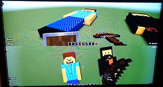 Wir spielen Minecraft.