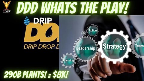 Drip Network what is my strategy when DDD launches