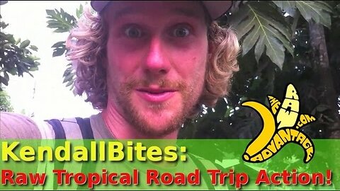 Kendall Bites, Raw Tropical Road Trip Action
