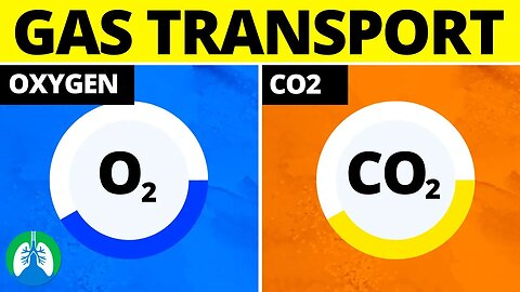 Transport of Oxygen and Carbon Dioxide (Quick Medical Overview)