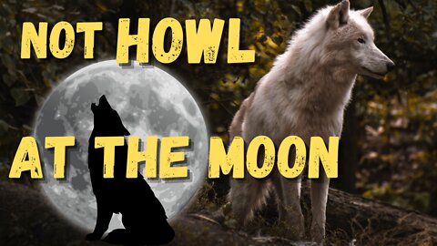 Quick Facts About Wolves