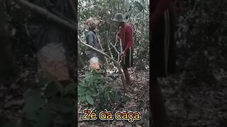 a aposta de Chicó e Zé da caça [parte 1] #short