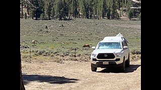 Truck camping with the Boondocker.Episode 2