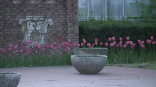 Rockefeller Park Greenhouse reopening