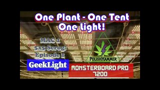 Geeklight Monsterboard Pro 7200 One Plant, One Tent, One Light episode 1 fill the 5x5 #SCROG #MAC1