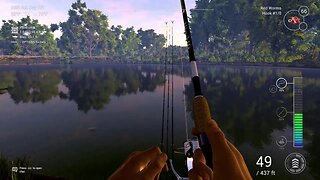 Fishing planet chill stream