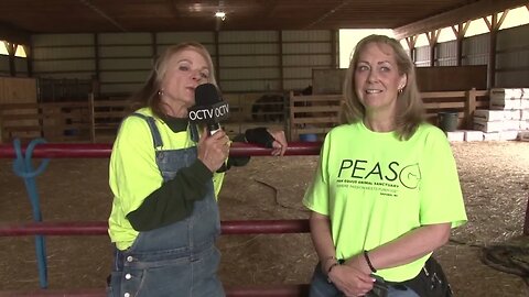 PEAS Pan Equus Animal Sanctuary Mothers Day Open Barn SPECIAL