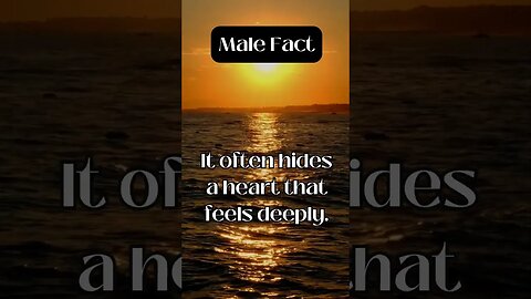 Male Fact