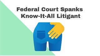 Federal Court Sanctions Know-it-All Litigant
