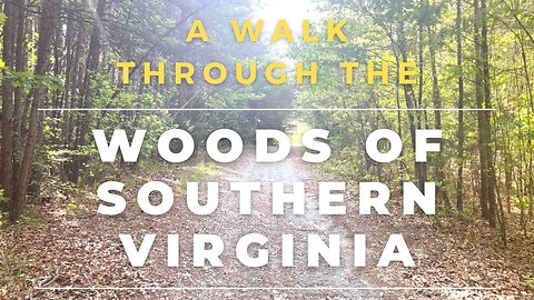 Woods of Southern Virginia