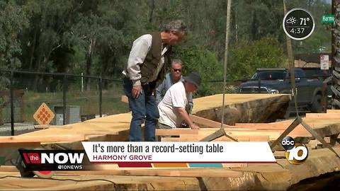 San Diego Torrey Pine gets new life as massive table