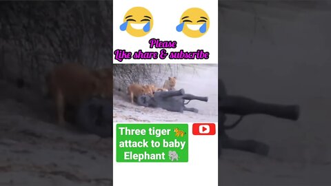 Three tiger 🐆 attack to baby elephant 🐘#shorts #youtubeshorts
