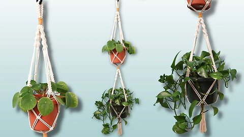 How To Make A Double Macrame Plant Holder (DIY Tutorial!)