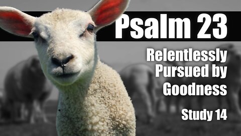 14 Psalm 23:6 Relentlessly Pursued by Goodness